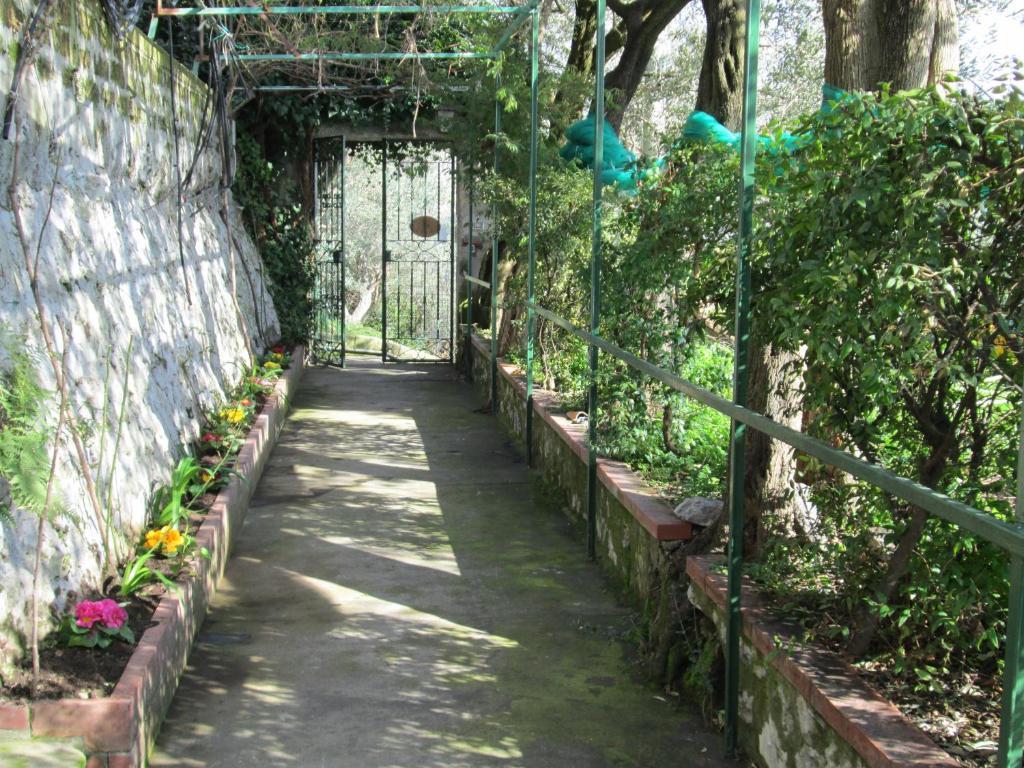 L'Uliveto Positano Exterior foto