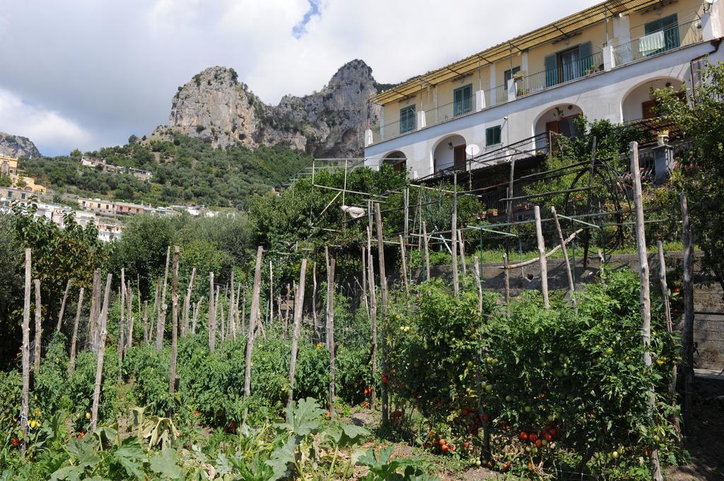 L'Uliveto Positano Exterior foto